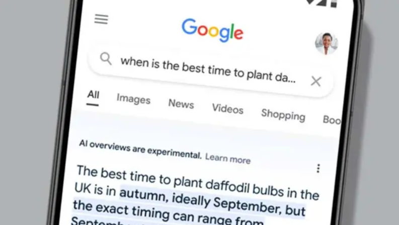 Screenshot of a Google search result showing an AI-generated overview.